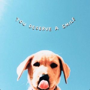 Meet your Posher, Ella